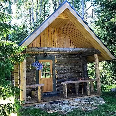 Haaviku Nature Lodge Tepelvalja