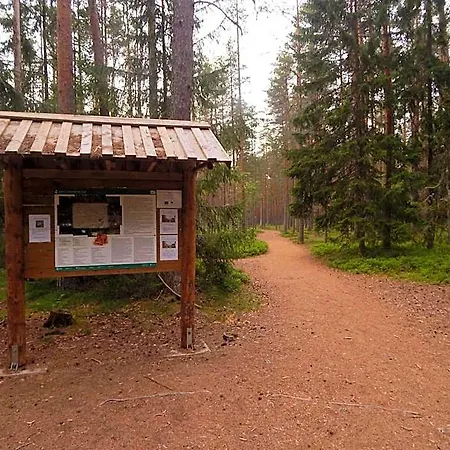 Lodge Haaviku Nature *