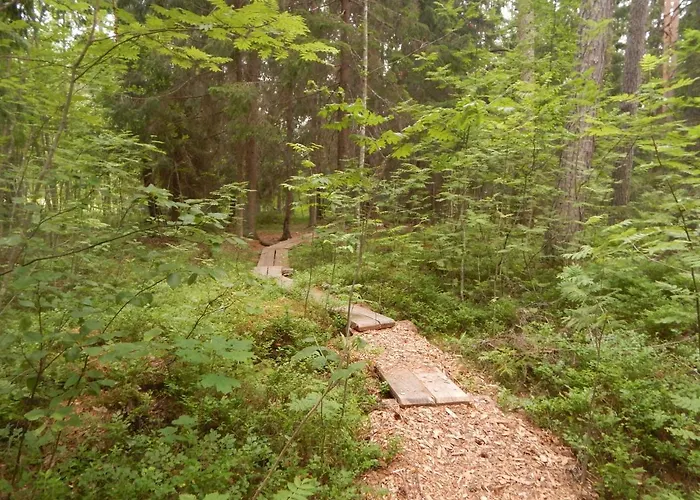 Haaviku Nature * Tepelvalja